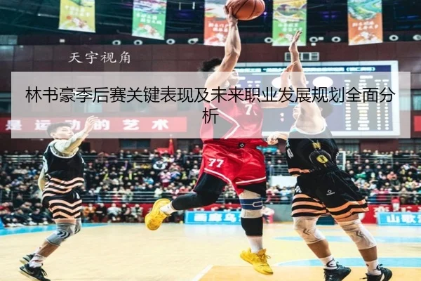 林书豪季后赛关键表现及未来职业发展规划全面分析
