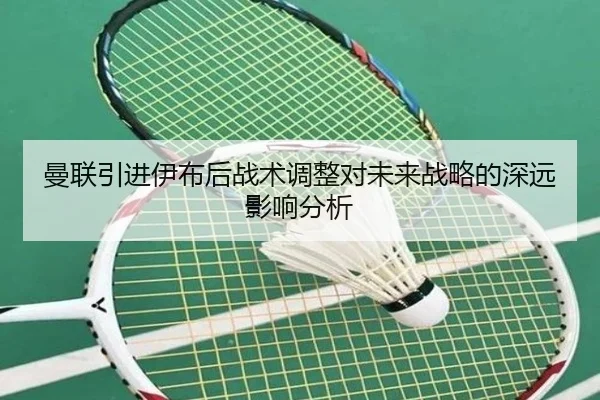 曼联引进伊布后战术调整对未来战略的深远影响分析